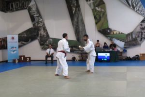 IMG 0591 1024x